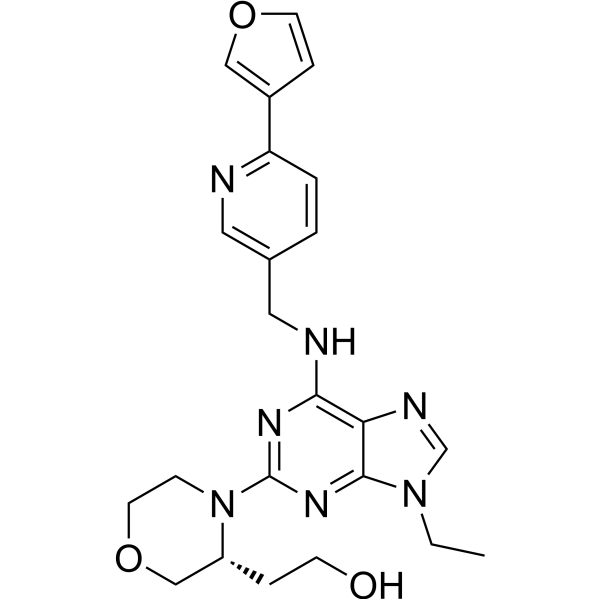 CDK-IN-13